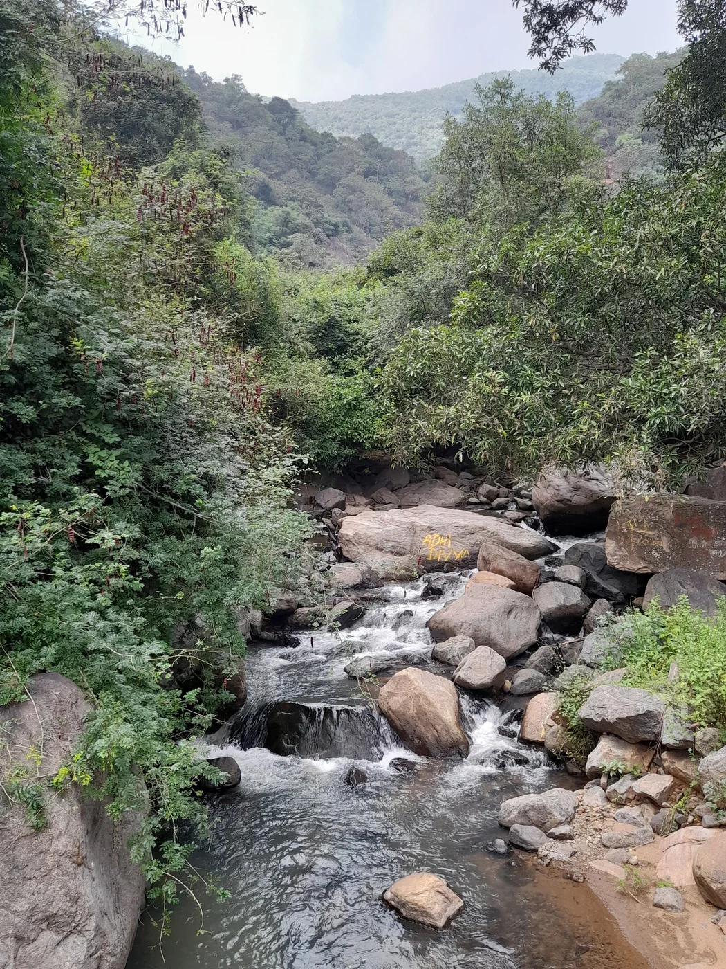 Forest waterfall near Uluppuni route