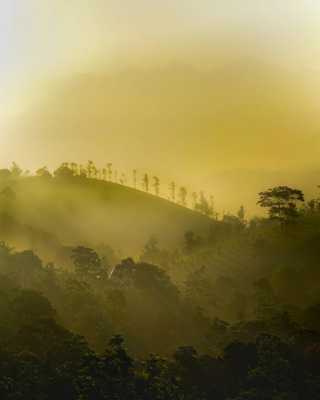 Misty ridges on Uluppuni safari